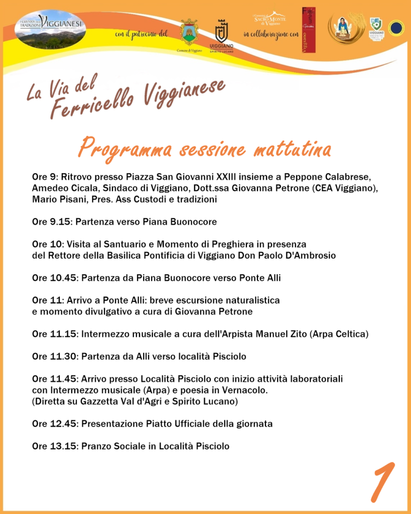 VIGGIANO: Mercoledì 30 Agosto torna la “Festa del Ferricello” Viggianese. festa