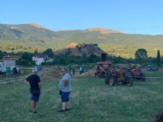 lucania film festival