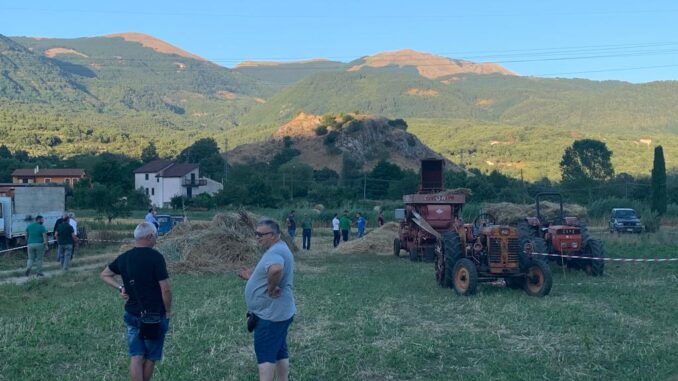 festa trebbiatura 4
