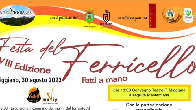 locandina festa del ferricello