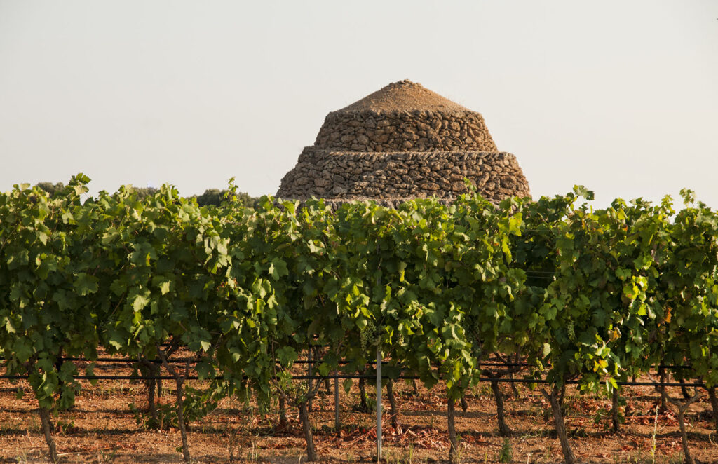 Il Consorzio di Tutela del Primitivo di Manduria si oppone alla minaccia di 16 aerogeneratori nella zona della Dop primitivo di manduria
