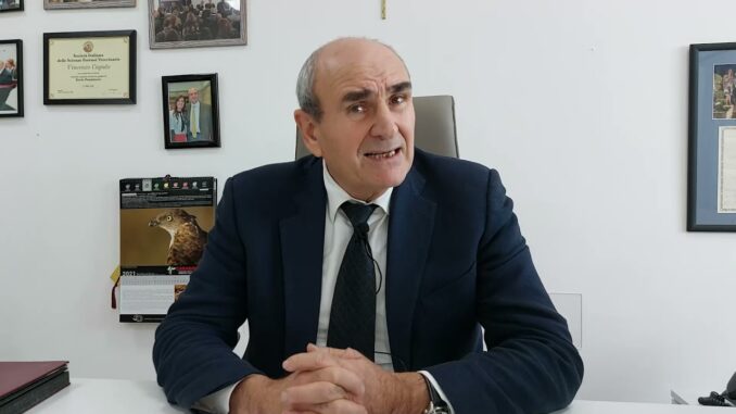 vincenzo caputo