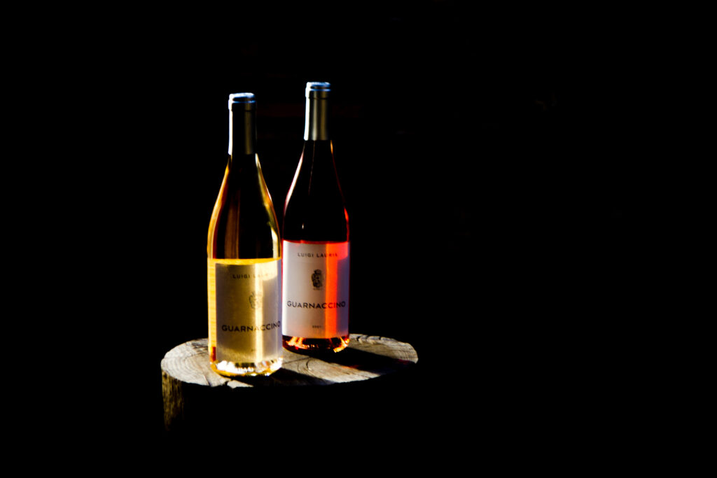 LA VENDEMMIA vendemmia
