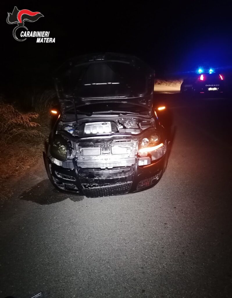 METAPONTO E MARCONIA: IN POCO TEMPO, DUE INCIDENTI STRADALI SENZA FERITI CAUSATI DALL’ATTRAVERSAMENTO DI CINGHIALI metaponto