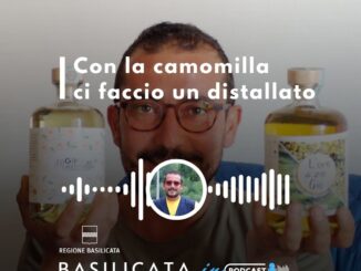 basilicata in podcast, marchetta: con la camomilla ci faccio un gin