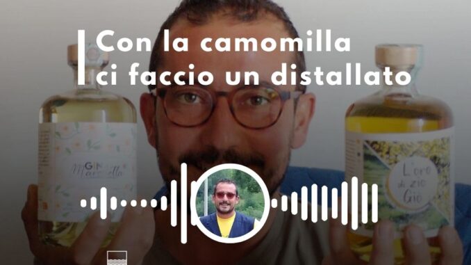 Marchetta