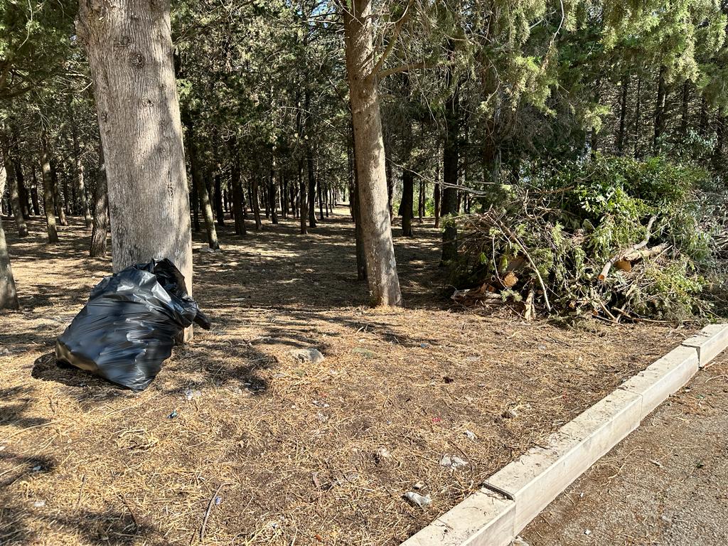Ripresi i lavori per il parco urbano di Serra Venerdi lavori