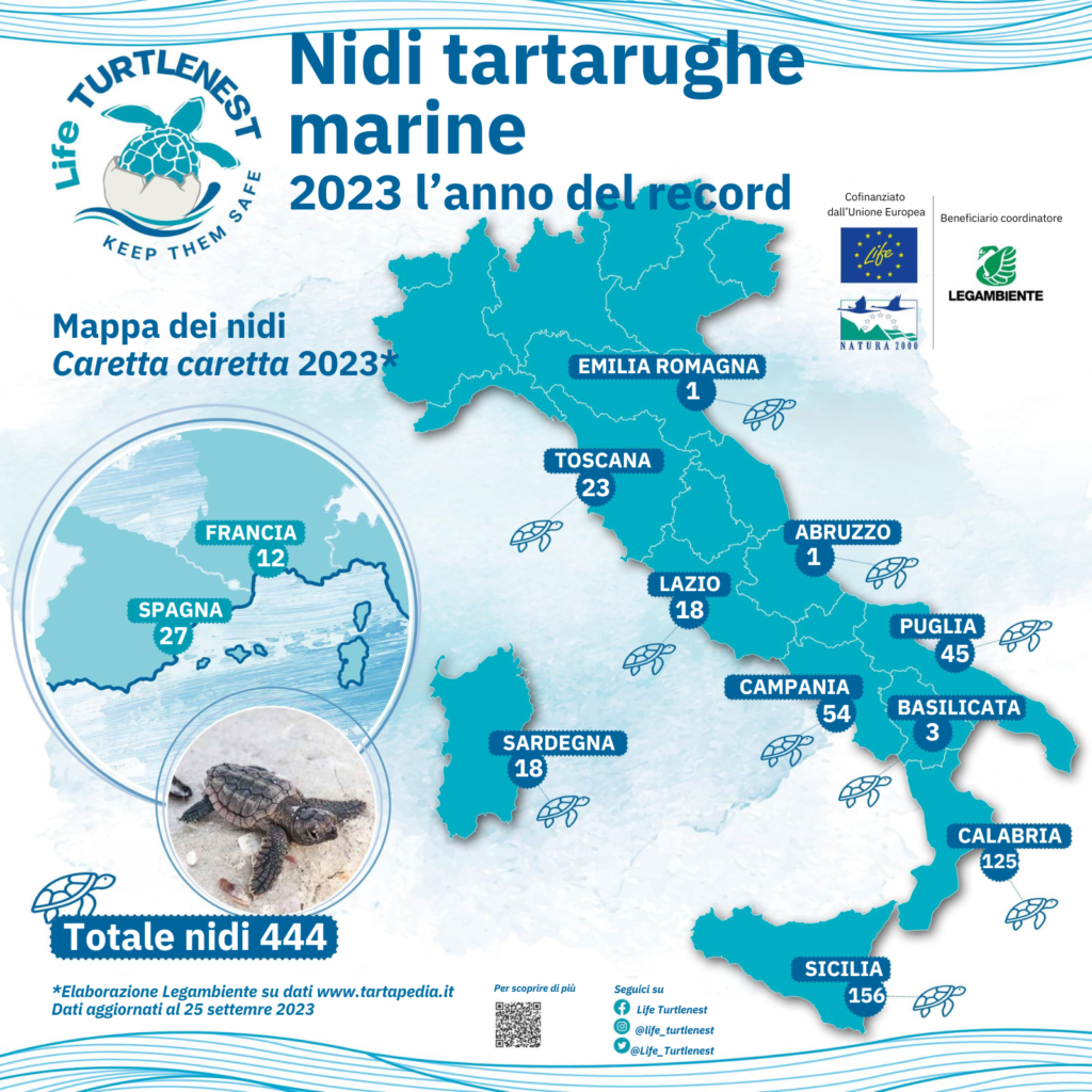 Tartarughe marine in Basilicata, 2023 anno record delle nidificazioni tartarughe