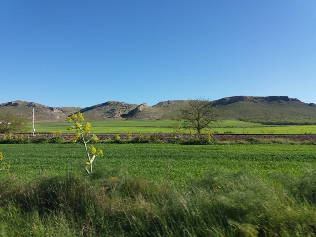 XIV campagna di scavo archeologico presso il sito di Jazzo Fornasiello campagna