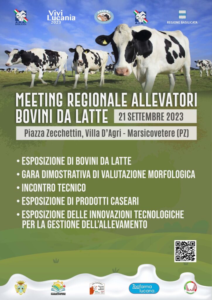 A VILLA D'AGRI MEETING REGIONALE ALLEVATORI BOVINI DA LATTE Bovini