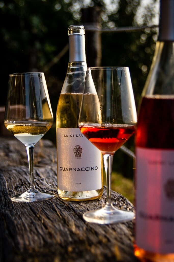 LA VENDEMMIA vendemmia