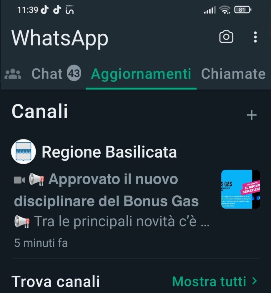 La Regione Basilicata ha il suo canale ufficiale su WhatsApp regione basilicata