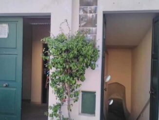 Bernalda