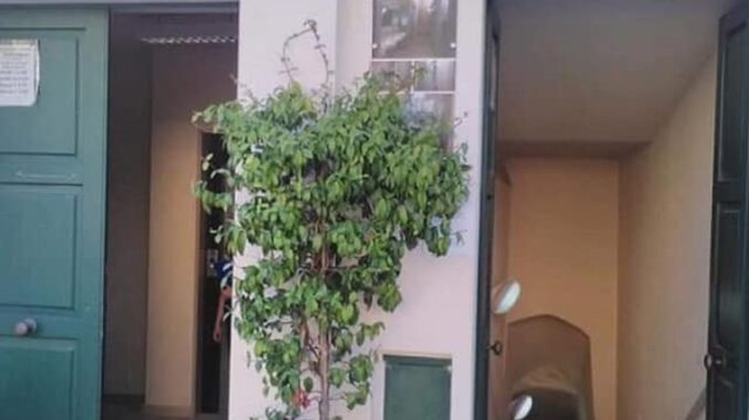 Matera bagni pubblici