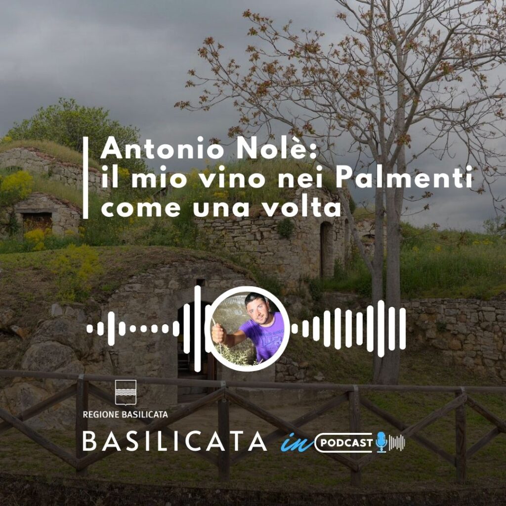 Basilicata in Podcast, a Pietragalla il vino nei palmenti come una volta basilicata
