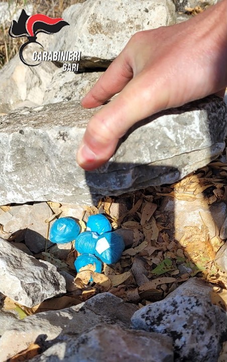 Molfetta (BA). Spacciava cocaina nascondendola nelle campagne circostanti ed in posti inaspettati. cocaina