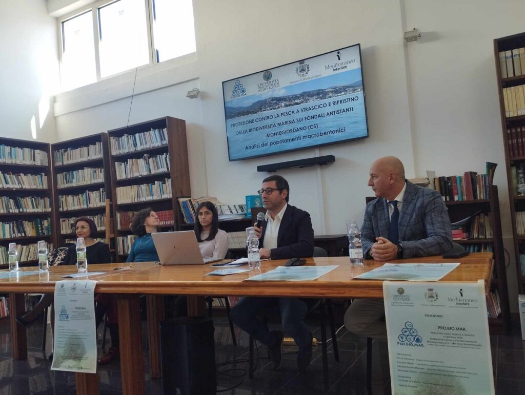 realta,progetto