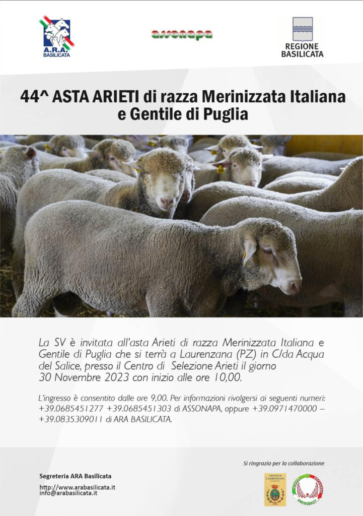 laurenzana,arieti