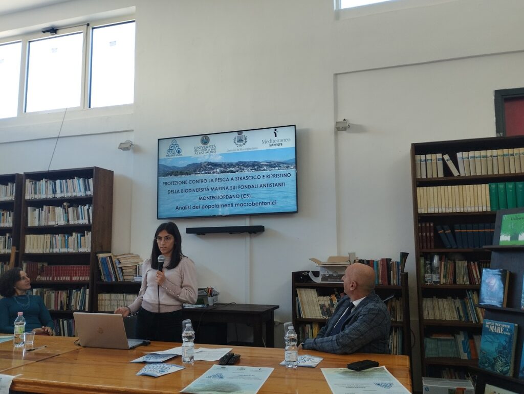 realta,progetto
