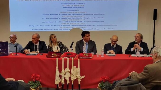 Forum tartufo, immagine