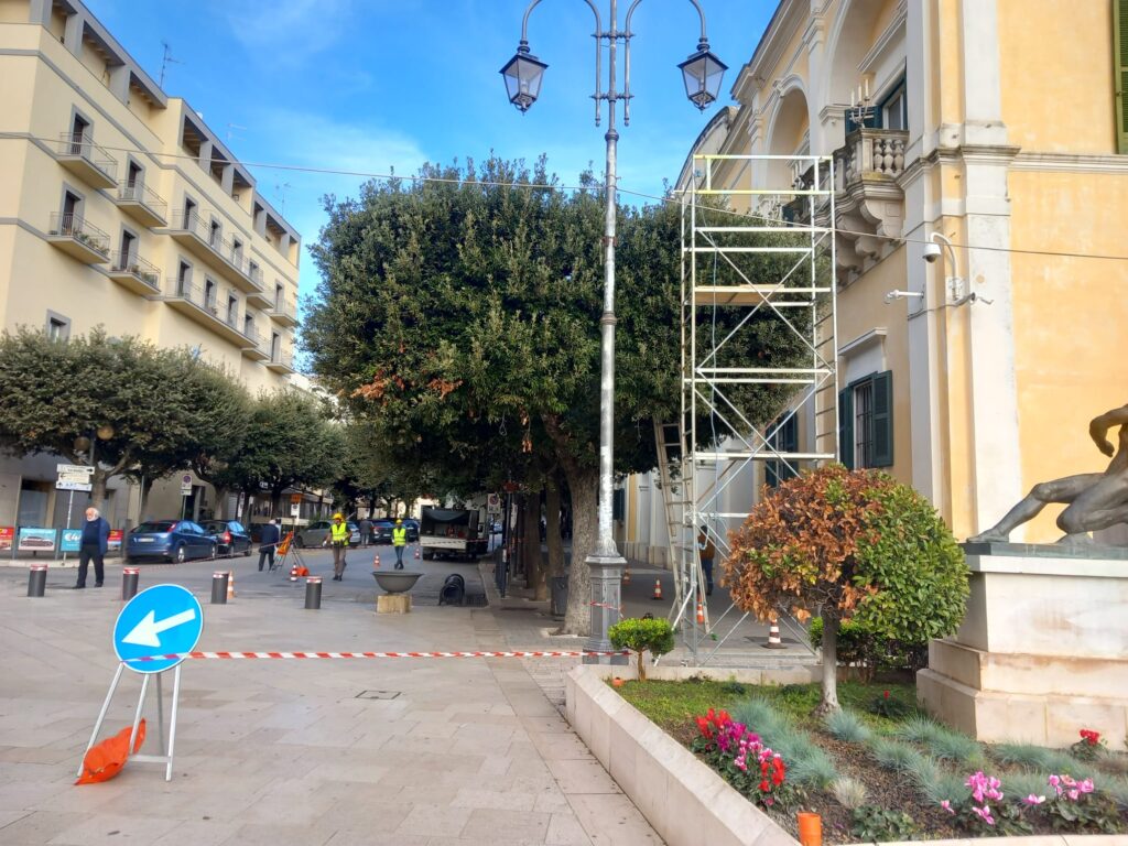 Matera:Al via la potatura degli alberi in città matera,potatura,alberi