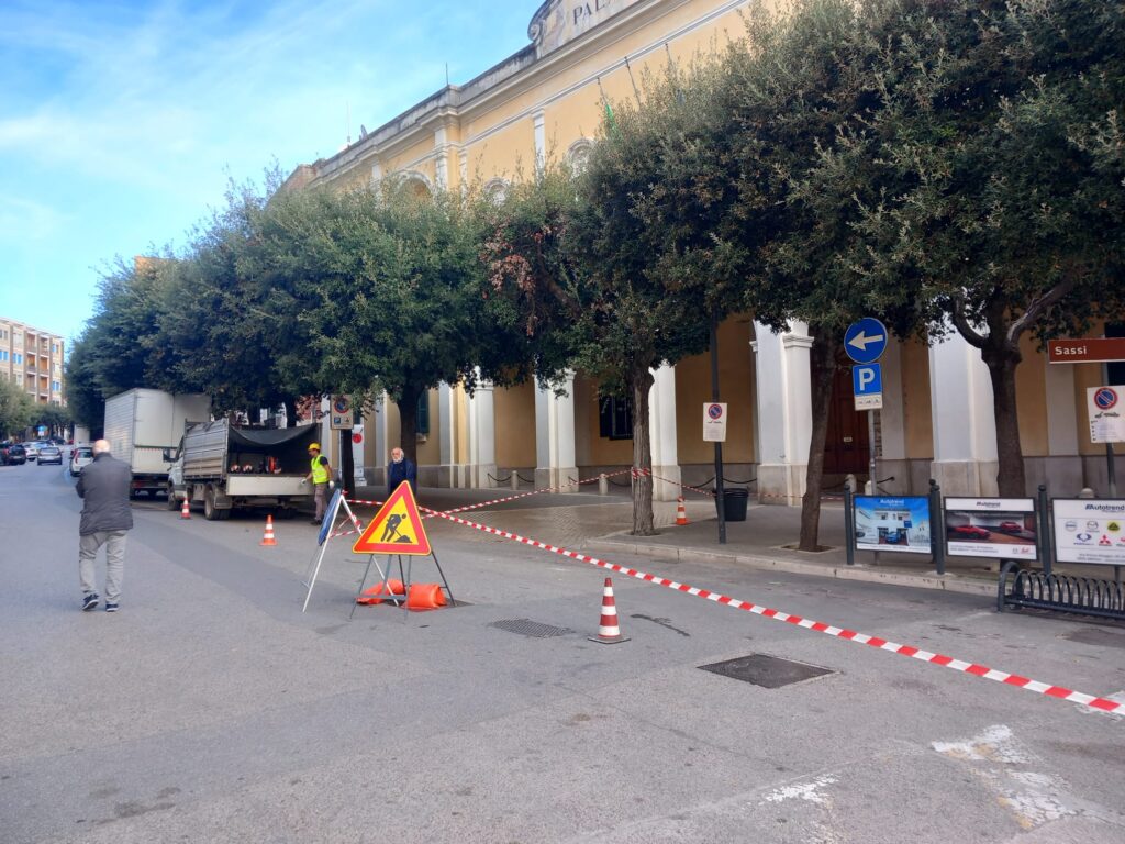 Matera:Al via la potatura degli alberi in città matera,potatura,alberi