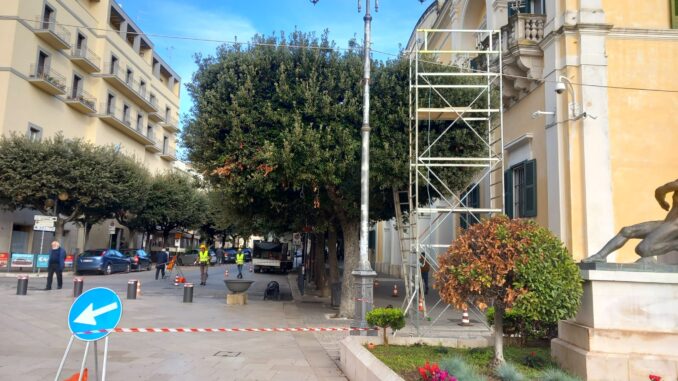 Lavori-di-potatura-in-centro-citta potatura alberi matera
