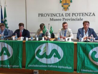 sicurezza