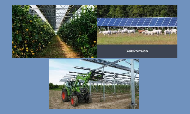 image01 Agrovoltaico