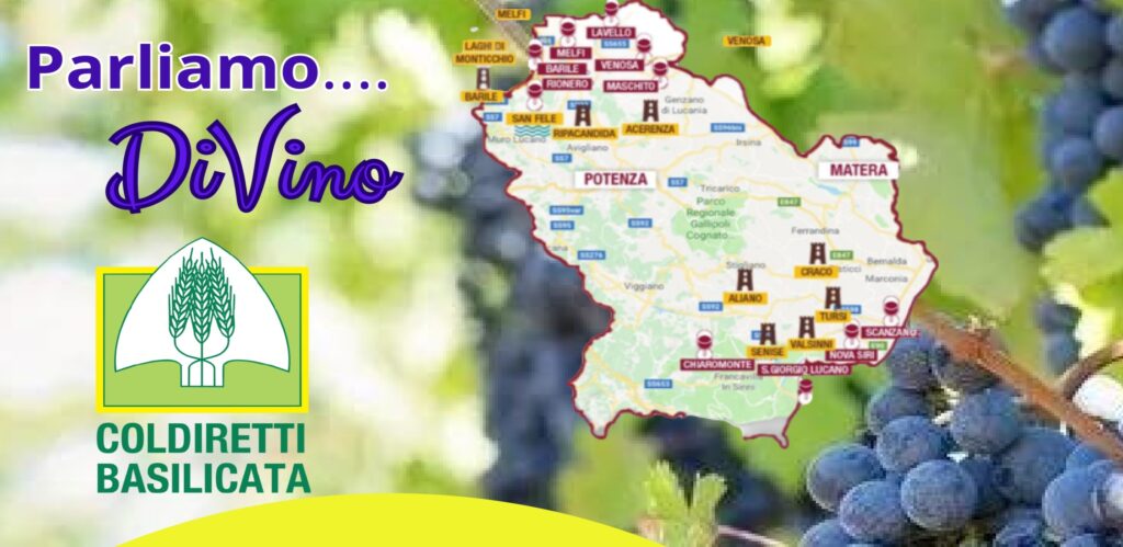 COLDIRETTI PRESENTA IL DISTRETTO AGROALIMENTARE DI QUALITÀ DEL VINO DI BASILICATA coldiretti,agroalimentare