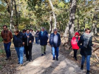 pomarico,successo