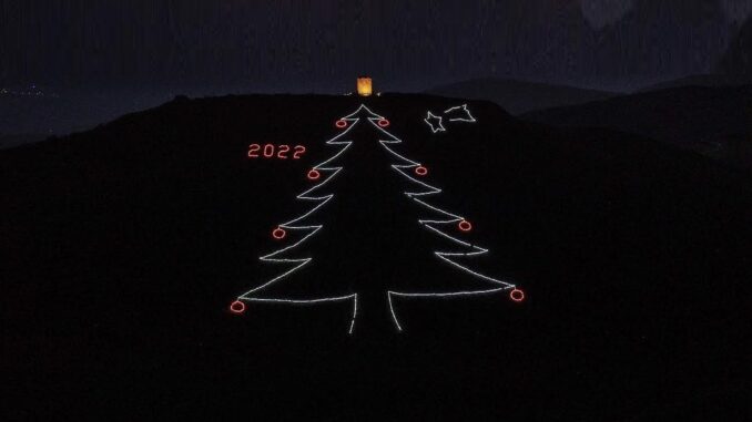albero-2022-1