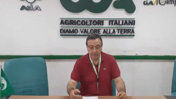 donato-distefano