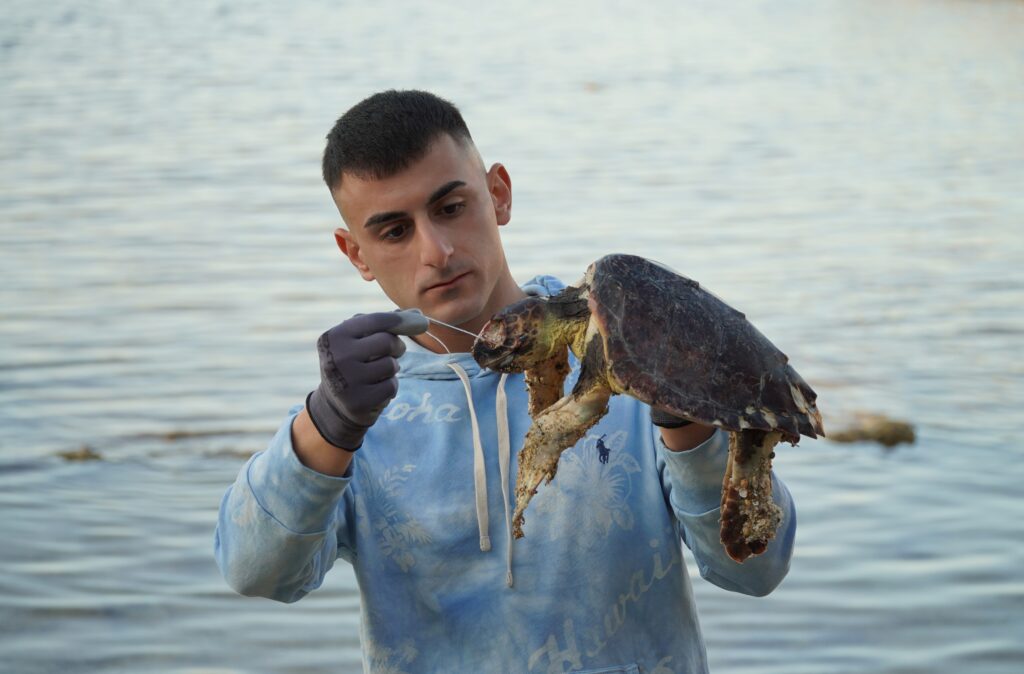 SOS tartarughe: l’ambientalista Sebastian Colnaghi sottolinea l’urgenza di ridurre l’uso della plastica dopo la triste scoperta di una tartaruga marina senza vita tartarughe,scoperta