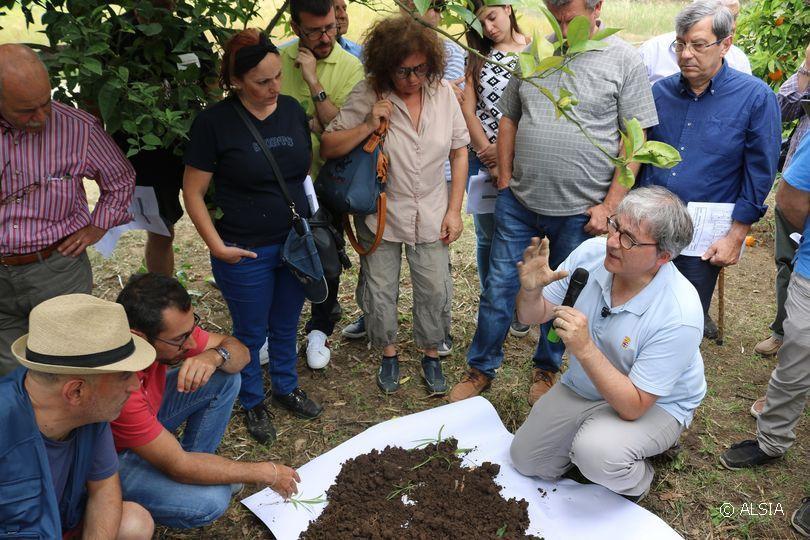 ALSIA, Bando Qualità suolo alsia,qualita,suoo
