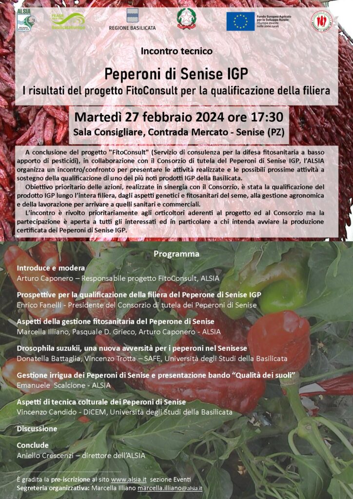 Filiera Peperoni di Senise IGP. Martedì 27 marzo incontro tecnico sui risultati del progetto Fito Consult peperoni