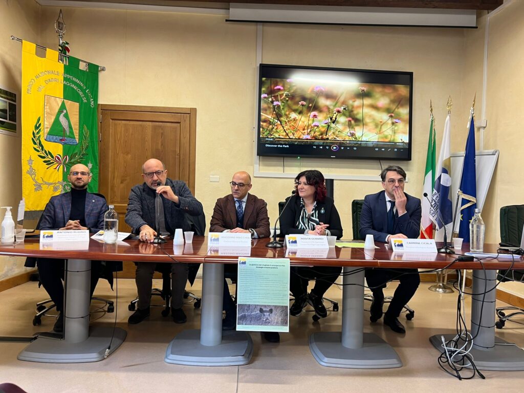 Cinghiali, Latronico: prelevati nelle aree protette 1945 capi cinghiali,capi,latronico