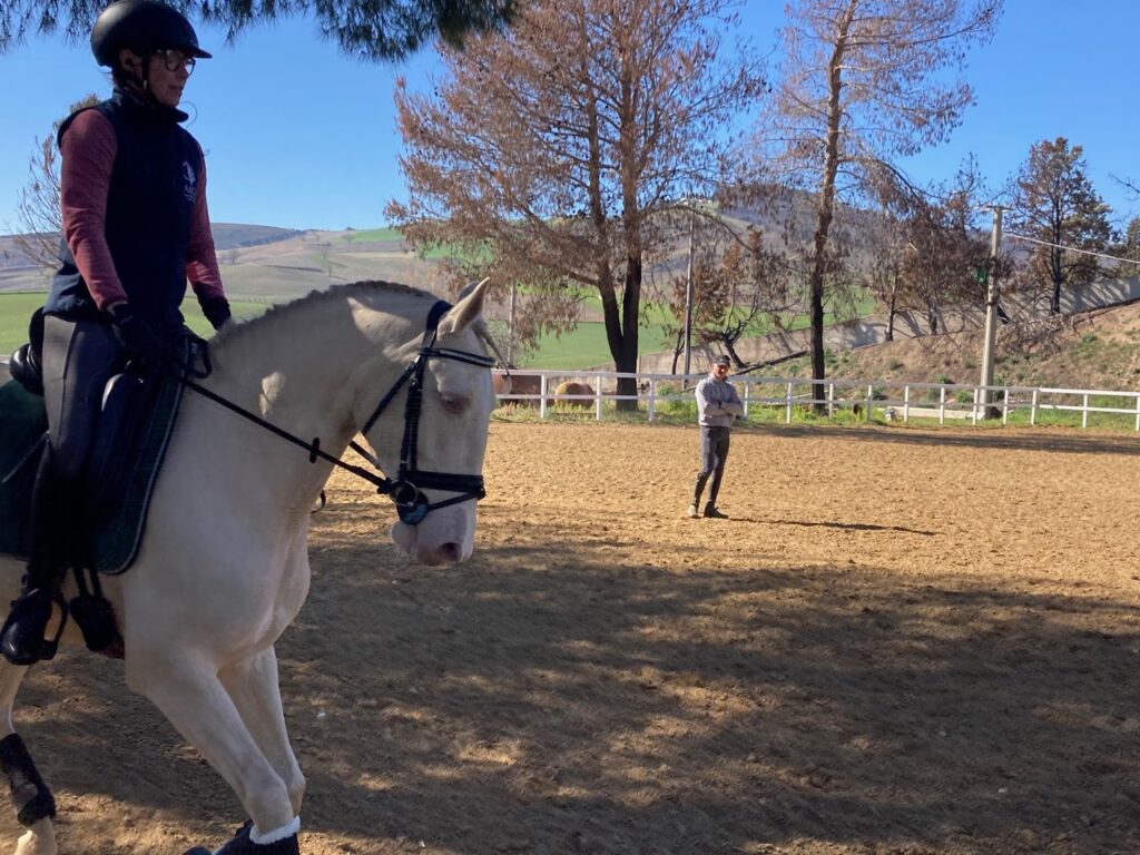 Equitazione: a Matera gli stage di dressage con il Campione Nazionale Andrea Giovannini equitazione