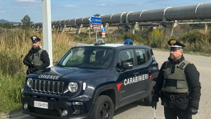 ultime notizie basilicata matera potenza bari foggia