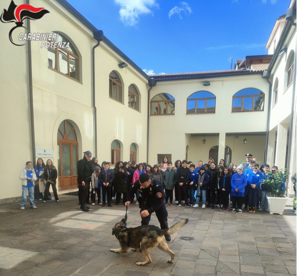 POTENZA: SCUOLA DI LEGALITÀ. SCOLARESCA IN VISITA AL COMANDO PROVINCIALE CARABINIERI DI POTENZA. potenza,carabinhieri
