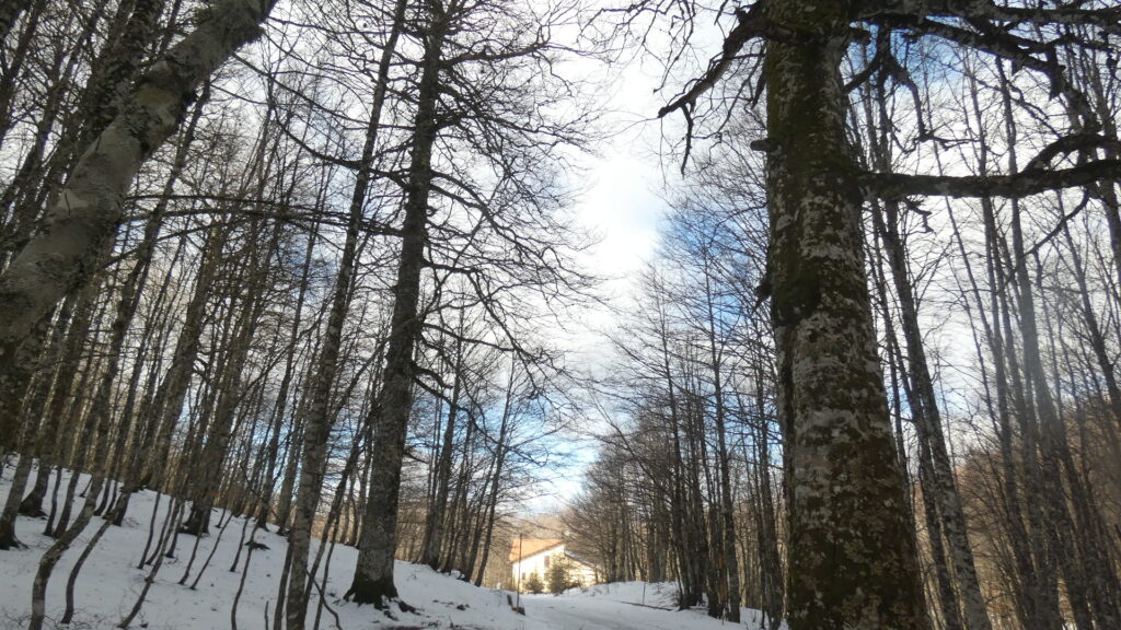 A Rotonda in montagna e' ritornata la neve e sono possibili ciaspolate ed escursioni sui sentieri innevati montagna