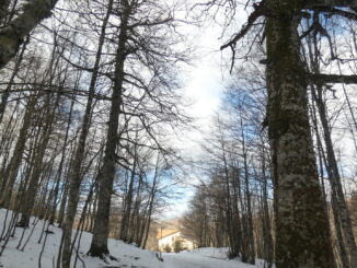 A Rotonda in montagna e' ritornata la neve e sono possibili ciaspolate ed escursioni sui sentieri innevati