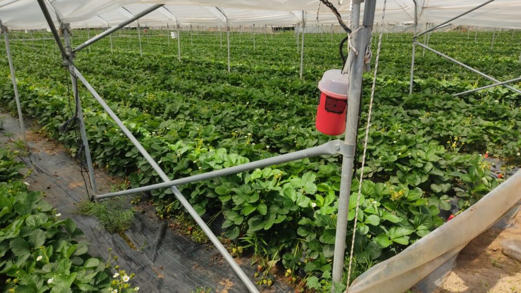 Giovedì 28 marzo, gestione sostenibile dei prodotti fitosanitari nell'azienda agricola. gestione