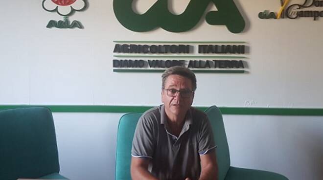 Cia-Agricoltori: Cerealicoltura in ginocchio, si attivino tutte le procedure in aiuto ai produttori agricoltori