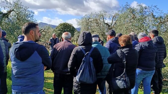 ultime notizie basilicata matera potenza bari foggia