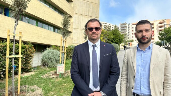 Bennardi e Amenta