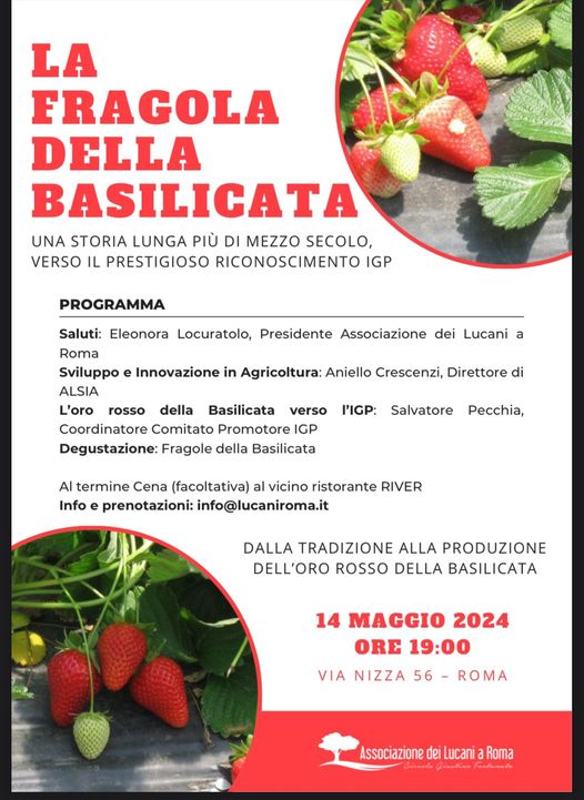 La Fragola della Basilicata protagonista a Roma con l’ALSIA e l’Associazione dei Lucani Basilicata