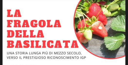 locandina fragola a roma2