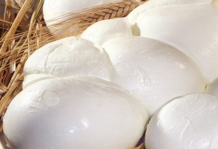 Alvignano, la bontà della mozzarella e la riscoperta degli antichi vitigni alvignano