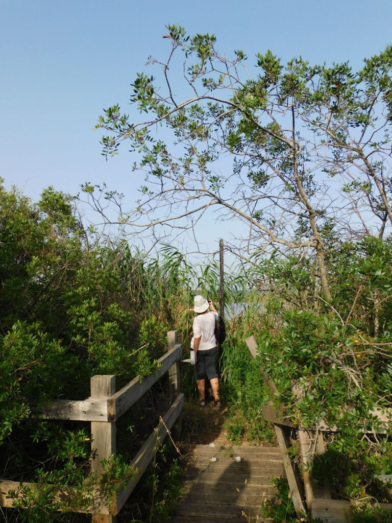 Esplorando_nel Parco Naturale Regionale Litorale di Ugento_ trekking guidato gratuito offerto da Lido Pineta_19 giugno _Escursione intorno ai Bacini bacini,parco